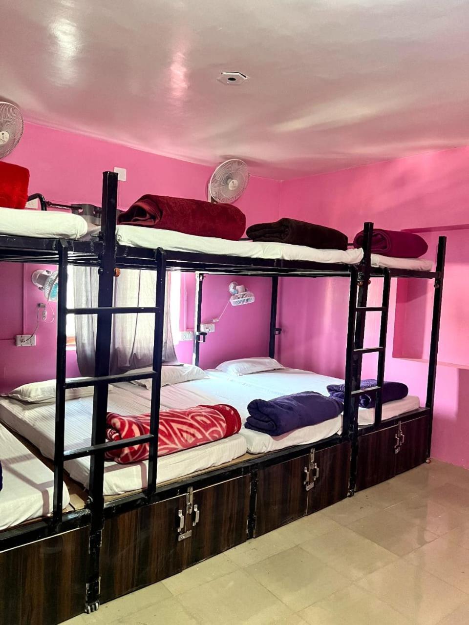 The Hostel Crown Udaipur Extérieur photo